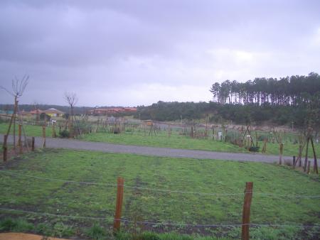 camping photo6