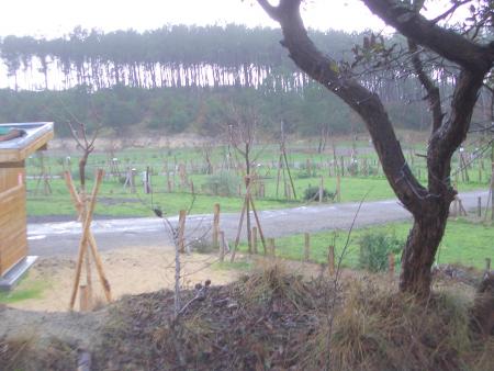 bonjour a vous de juger de la rénovation du camping de la plage