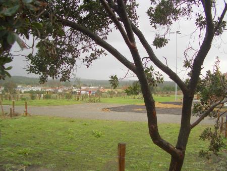 camping photo10