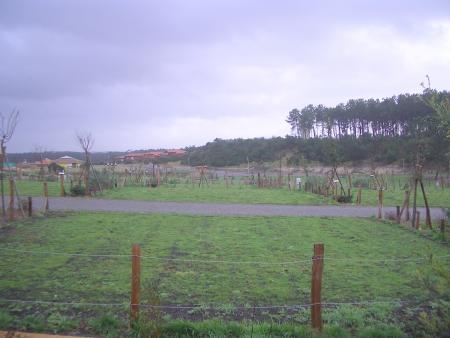 camping photo9