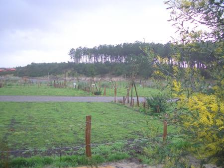 camping photo5